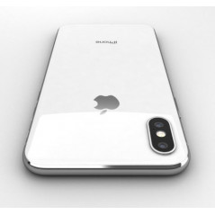 iPhone X/10 - iPhone X 256GB Silver (Begagnad)