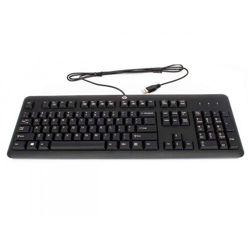 Wired Keyboards - HP USB-tangentbord (beg)