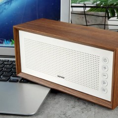 Wireless Bluetooth Speaker - Denver BTS-210NR trådlös bluetooth-högtalare med USB-uppspelning