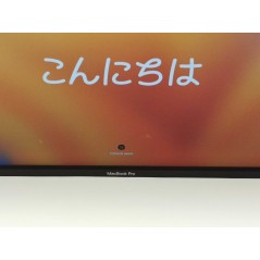 Used Macbook Pro - MacBook Pro 16-tum 2019 i7-9750H 16GB 512GB SSD Silver (beg med märke skärm)