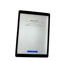 Cheap tablet - iPad Air 2 64GB space grey (beg  - smått böjd med små märken skärm & backlight bleed)