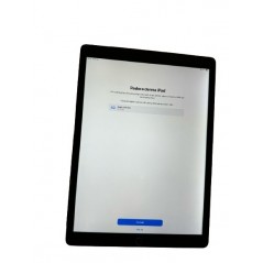 Cheap tablet - iPad Air 16GB Silver (beg med backlight bleed) (max iOS 12 - stöder ej flertalet appar)