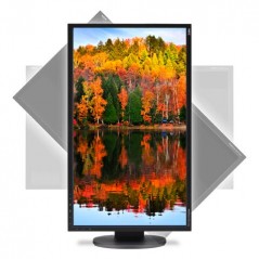 Used computer monitors - NEC EA243WM 24-tums LED-skärm med ergonomisk fot (beg)