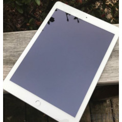 iPad (2018) 6th gen 32GB med 4G LTE Silver (beg)