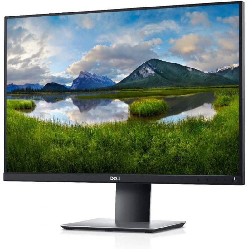 Used computer monitors - Dell P2421 24" 1920x1200 LED-skärm med IPS-panel (beg)