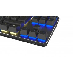 Backlit Gaming Keyboards - Nordic Gaming TKL mekaniskt gamingtangentbord med RGB-belysning