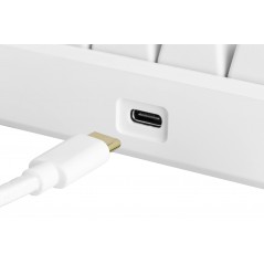 Backlit Gaming Keyboards - Deltaco GAM-075-W superkompakt 60% gamingtangentbord med RGB-belysning