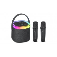 Andersson bärbar högtalare med 2 trådlösa mikrofoner för karaoke