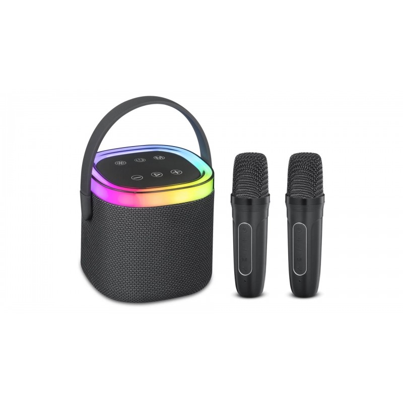 Wireless Bluetooth Speaker - Andersson bärbar högtalare med 2 trådlösa mikrofoner för karaoke