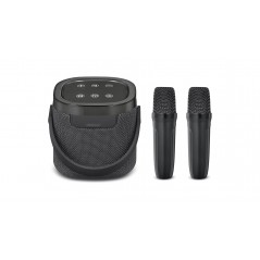 Wireless Bluetooth Speaker - Andersson bärbar högtalare med 2 trådlösa mikrofoner för karaoke