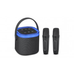 Andersson bärbar högtalare med 2 trådlösa mikrofoner för karaoke
