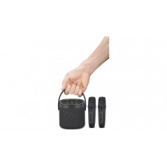 Wireless Bluetooth Speaker - Andersson bärbar högtalare med 2 trådlösa mikrofoner för karaoke