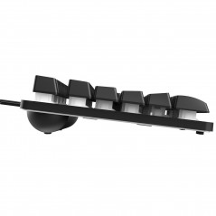 Backlit Gaming Keyboards - Trust GXT 833 Thado TKL kompakt gamingtangentbord med belysning (svart)