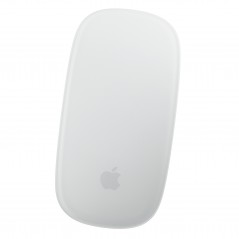 Apple Magic Mouse Gen 1 A1296 (beg)