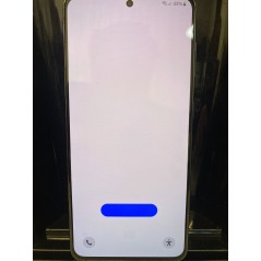 Used Samsung Galaxy - Samsung Galaxy S21 5G 128GB DS Phantom Gray (beg med burnin - se bild)
