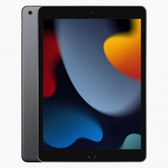 Used iPad Pro, Mini & Air - iPad 2021 (9th Gen) 10.2" 64GB Wi-Fi Space Gray (beg med lägre batterihälsa)