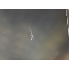 Used laptop 14" - HP ProBook 440 G6 14" Full HD i5 8GB 256SSD Win 11 Pro (beg med märke skärm och chassispricka)