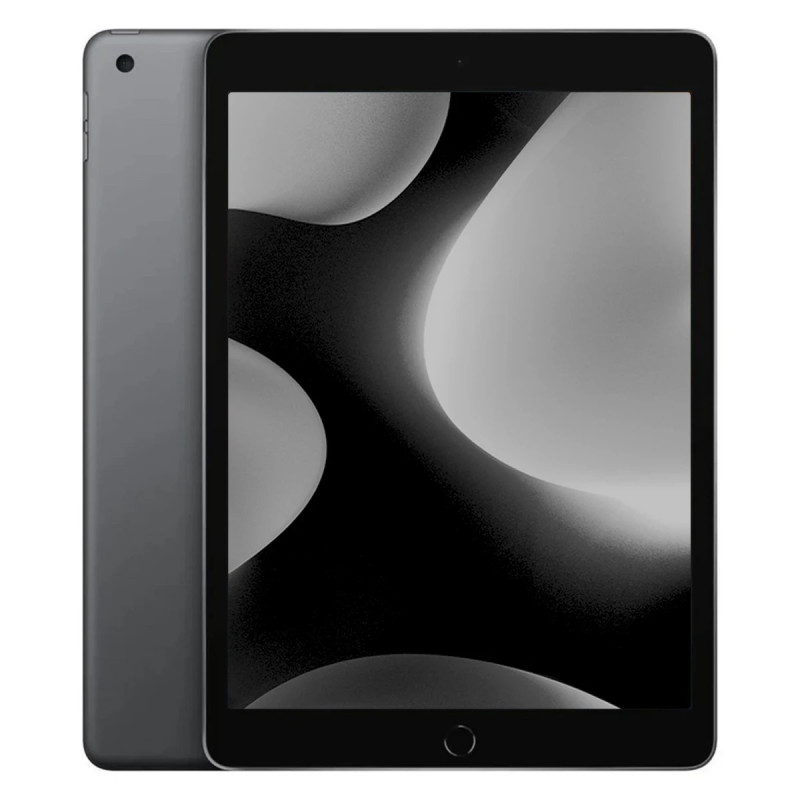 Used iPad Pro, Mini & Air - iPad 2021 (9th Gen) 10.2" 256GB WiFi + 4G Space Gray (beg med lägre batterihälsa)