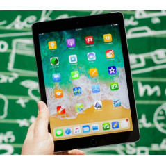 Cheap tablet - iPad (2018) 6th gen 128GB Space Gray (beg med dåligt batteri och många små dammkorn)