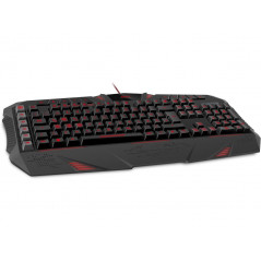 Wired Keyboards - SpeedLink Parthica Core bakgrundsbelyst tangentbord