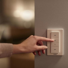 Lights - Philips Hue Dimmer Switch