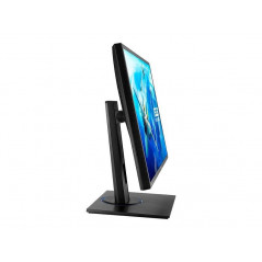 Computer monitor 15" to 24" - Asus 24" LED-skärm (Bargain)