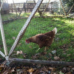 Garden Tools - Byggsats - Modulär geodetisk kupol