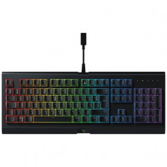 Gaming Keyboard - Razer Cynosa Chroma gaming-tangentbord