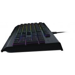 Gaming Keyboard - Razer Cynosa Chroma gaming-tangentbord