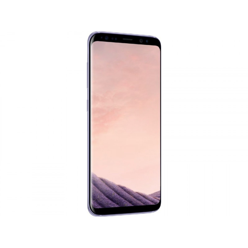 Samsung Galaxy - Samsung Galaxy S8 64GB Orchid Gray (beg)