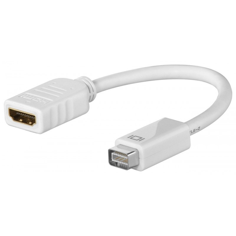 Screen Cables & Screen Adapters - Mini DVI till HDMI-adapter