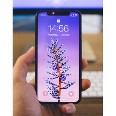 Used iPhone - iPhone X 256GB Silver (Begagnad)