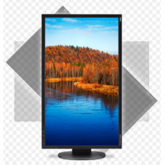 Used computer monitors - NEC MultiSync 23" LCD-skärm med IPS-panel (beg)