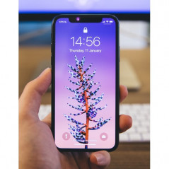 Used iPhone - iPhone XS Max 256GB Rymdgrå (beg)