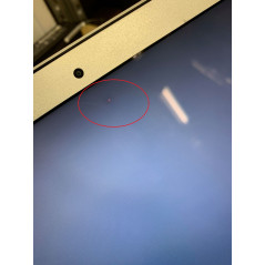 MacBook Air - Early 2015 (beg med burn-in skärm*)
